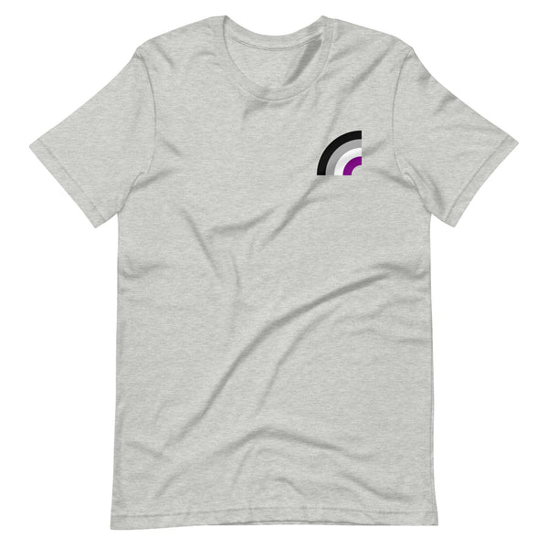 Asexual Pride Arched Flag Unisex Fit T-shirt
