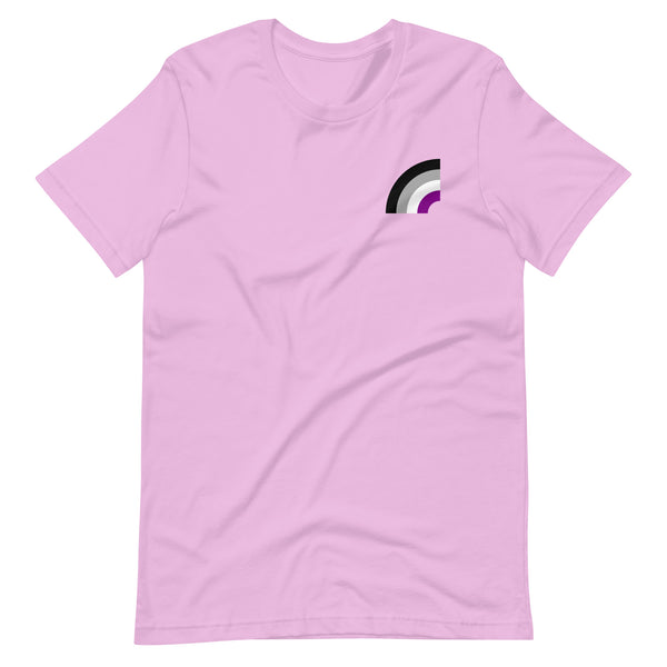 Asexual Pride Arched Flag Unisex Fit T-shirt